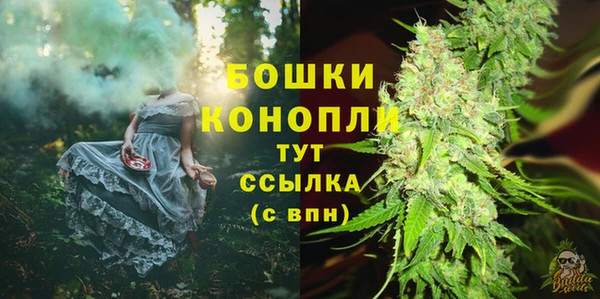 гидра Алексеевка