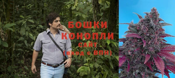 гидра Алзамай