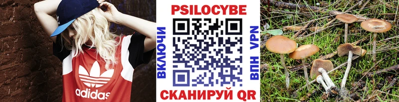 MEGA   Сасово  Псилоцибиновые грибы Psilocybe  купить наркотик 